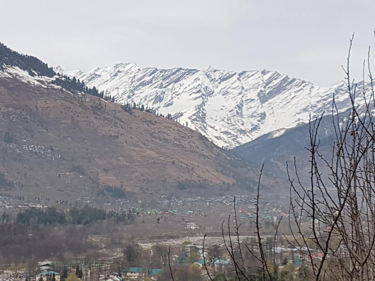 Sunface * Manali (Himachal Pradesh)