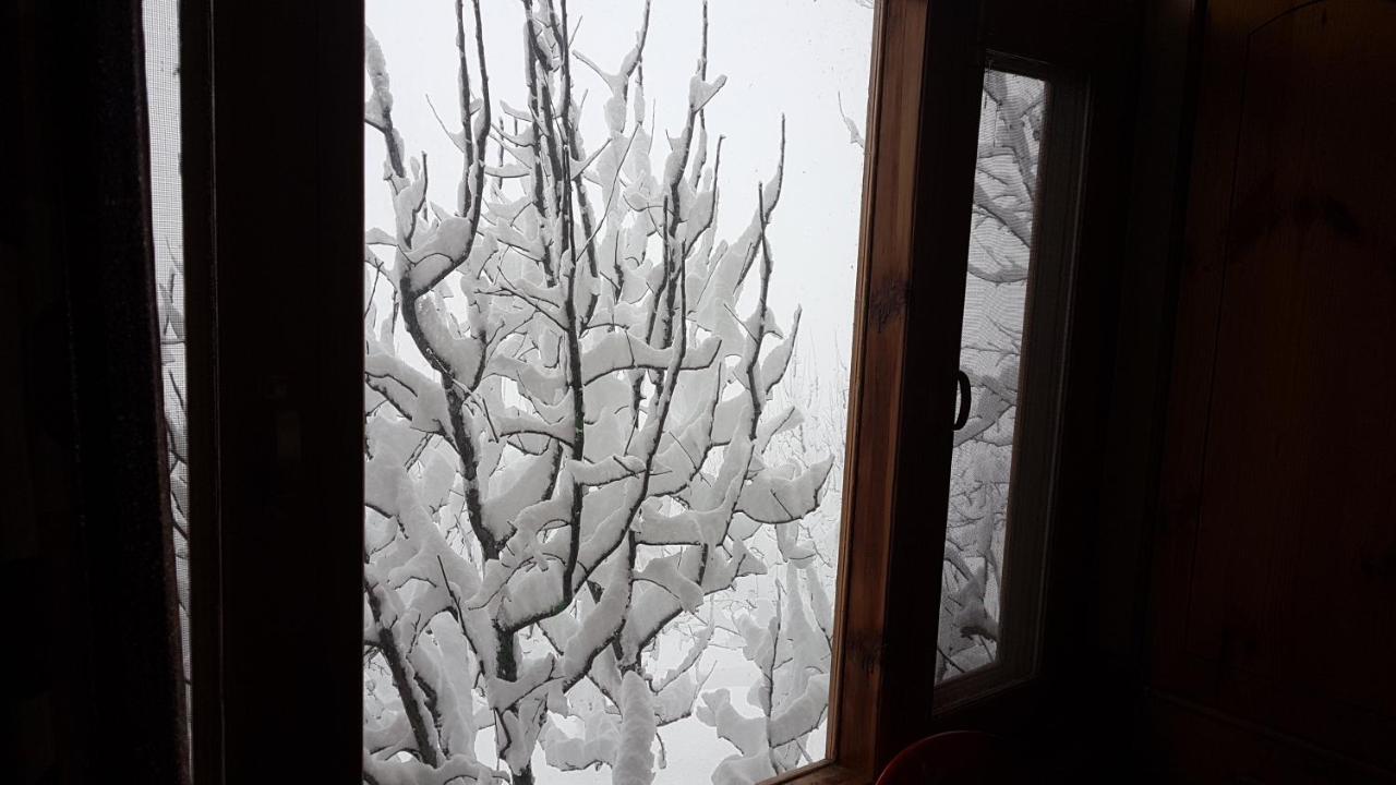 Sunface * Manali (Himachal Pradesh)